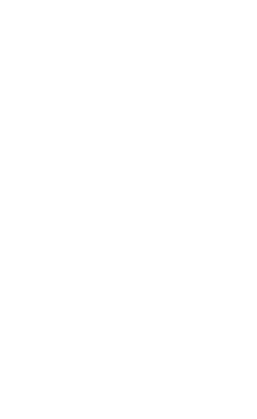 shape 5